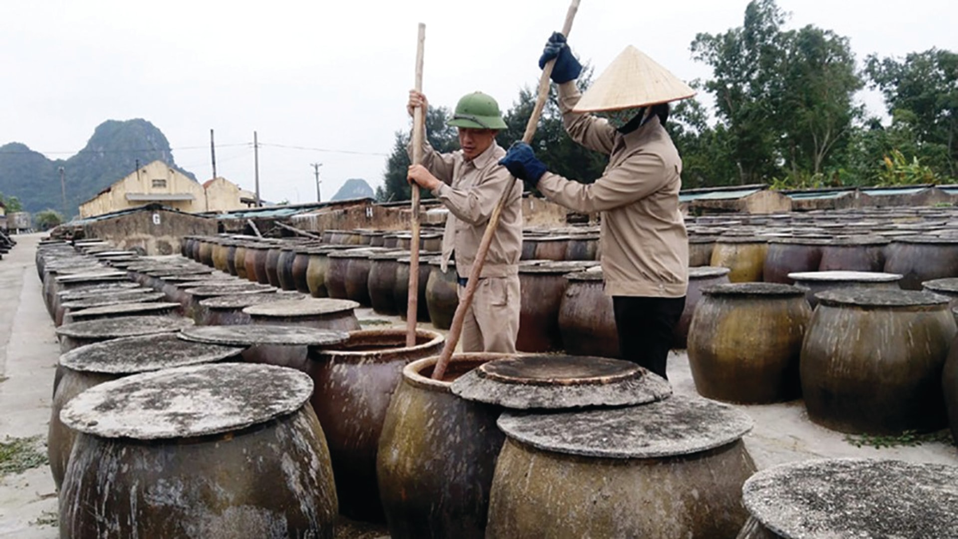 Nước mắm Cái Rồng ở Vân Đồn là sản phẩm  được cấp nhãn hiệu tập thể từ năm 2013.
