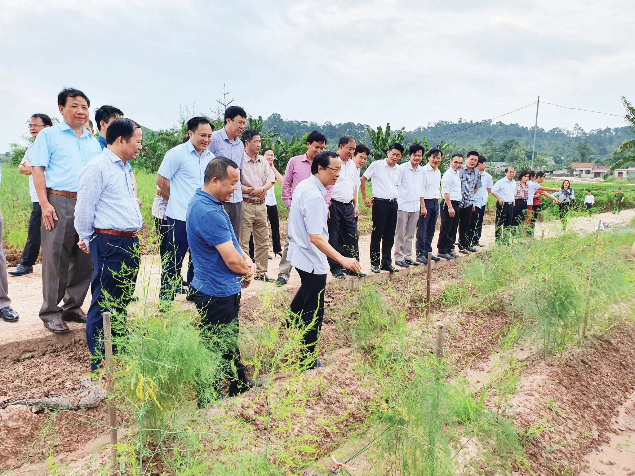 Ông Phạm Ngọc Thưởng, Chủ tịch tỉnh Lạng Sơn (người thứ 2 hàng thứ nhất từ trái qua) thăm mô hình măng tây sạch của ĐVTN huyện Lộc Bình.  