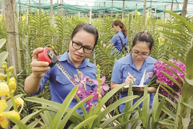 Thanh niên muốn khởi nghiệp thành công đều phải trải qua quá trình khổ luyện.