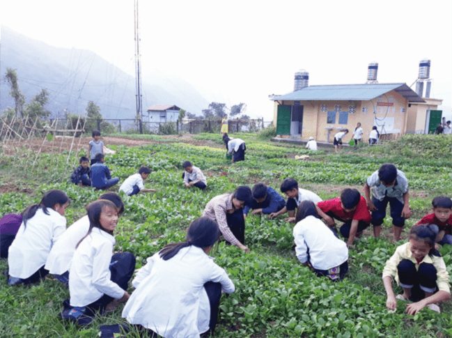 Học sinh Trường THCS Nậm Cang (Lào Cai) chăm sóc vườn rau bán trú sau giờ học.