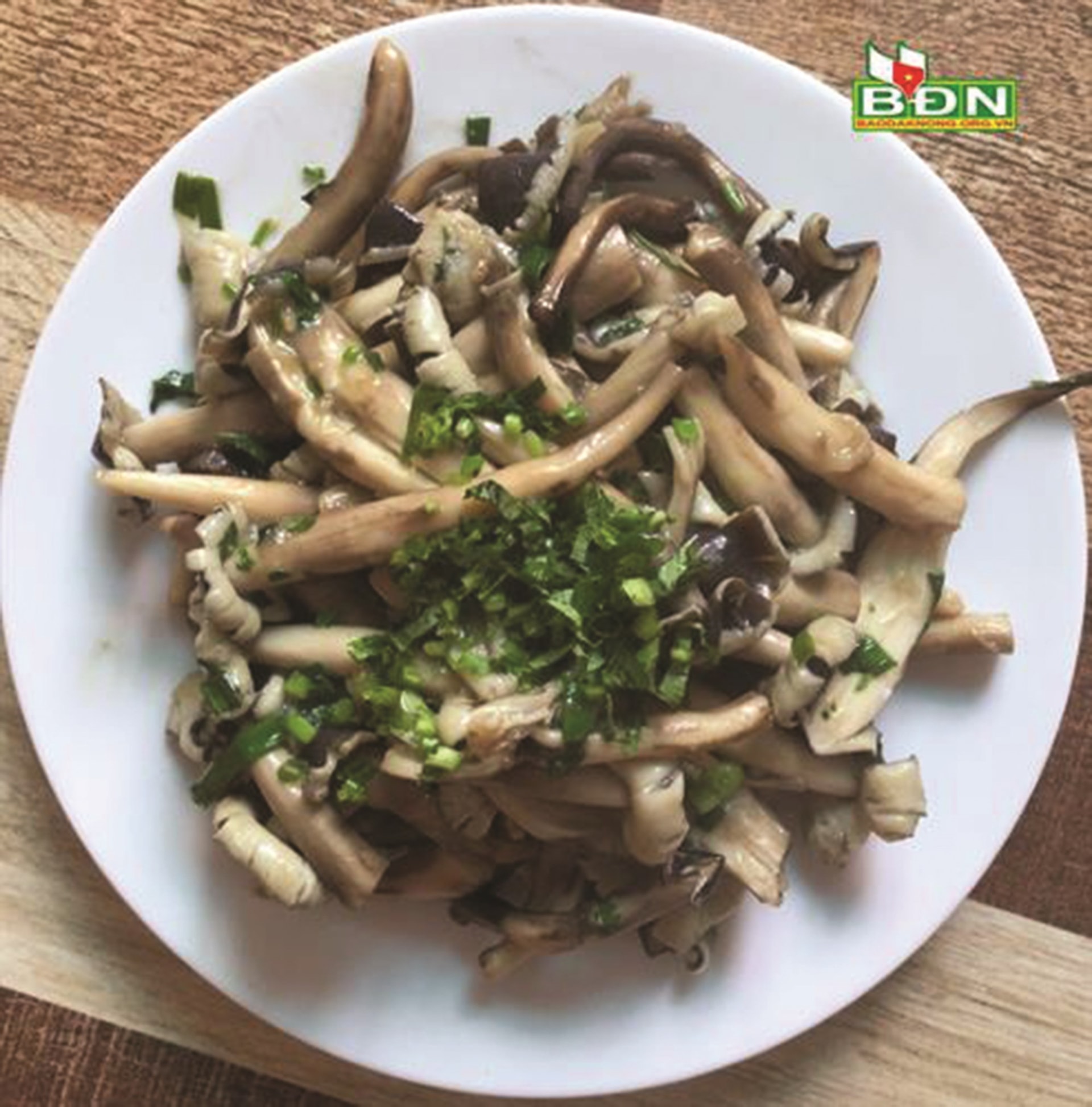 Nấm mối rừng