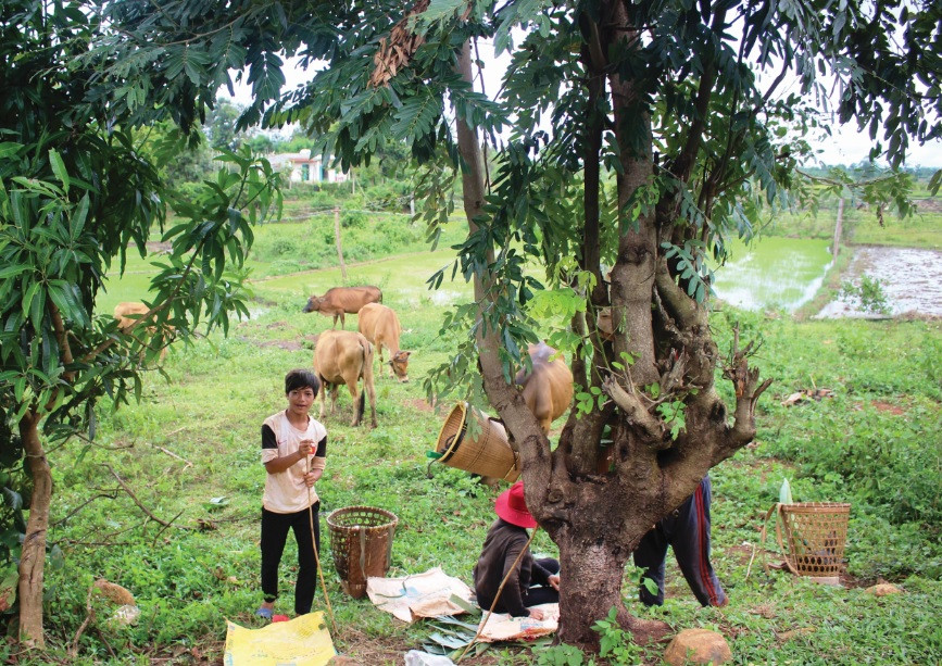Ý nghĩ lạc hậu không chỉ làm khổ nhau mà còn kìm hãm sự phát triển.