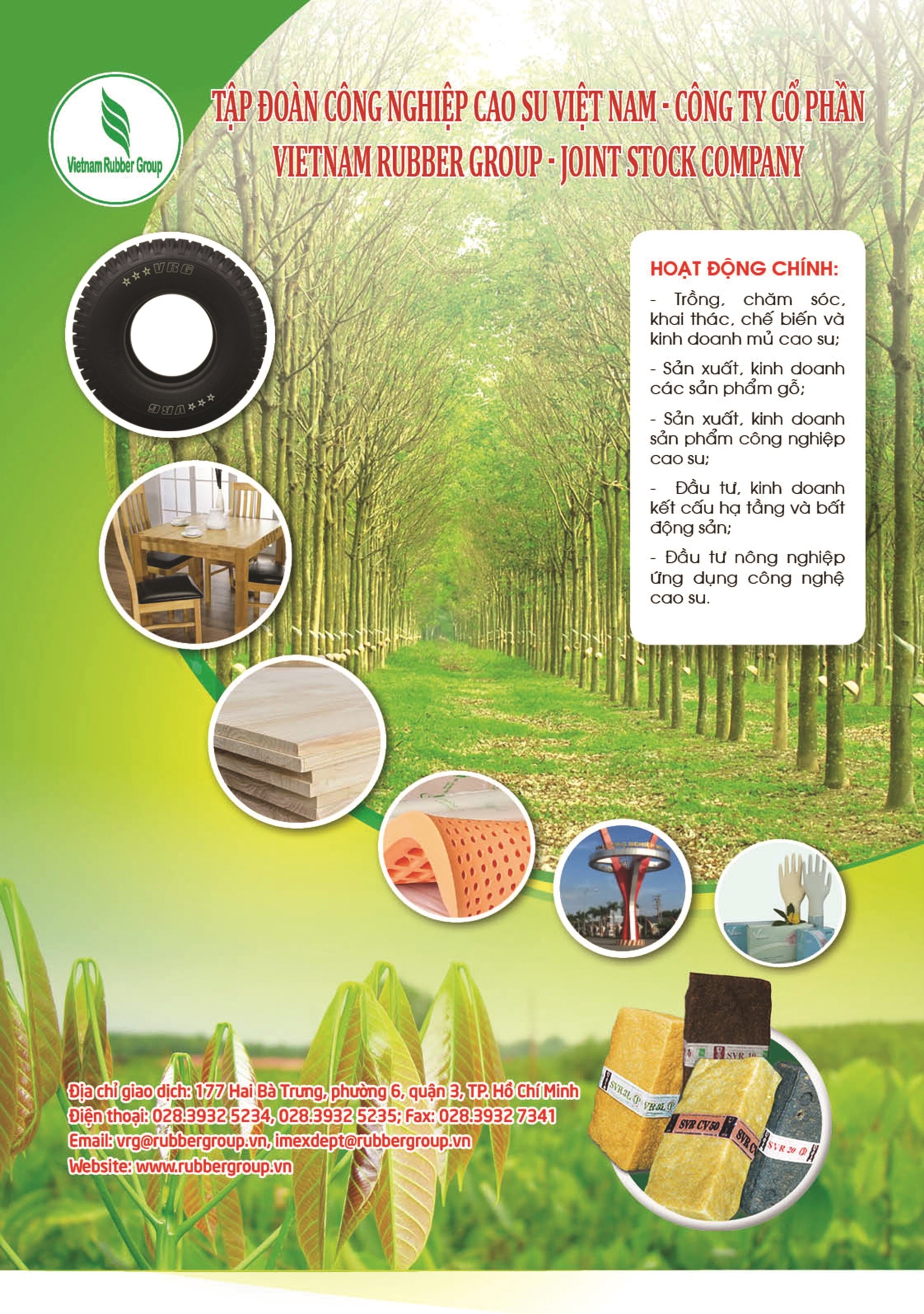 Tập đoàn công nghiệp cao su Việt Nam - Công ty cổ phần VietNam Rubber Group-Joint Stock Company