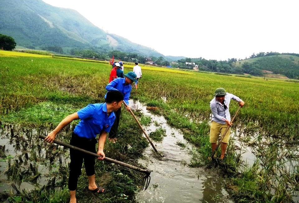 Cần quan tâm hỗ trợ giải quyết việc làm để tập hợp thanh niên, định hướng thanh niên hành động. (Ảnh minh họa)