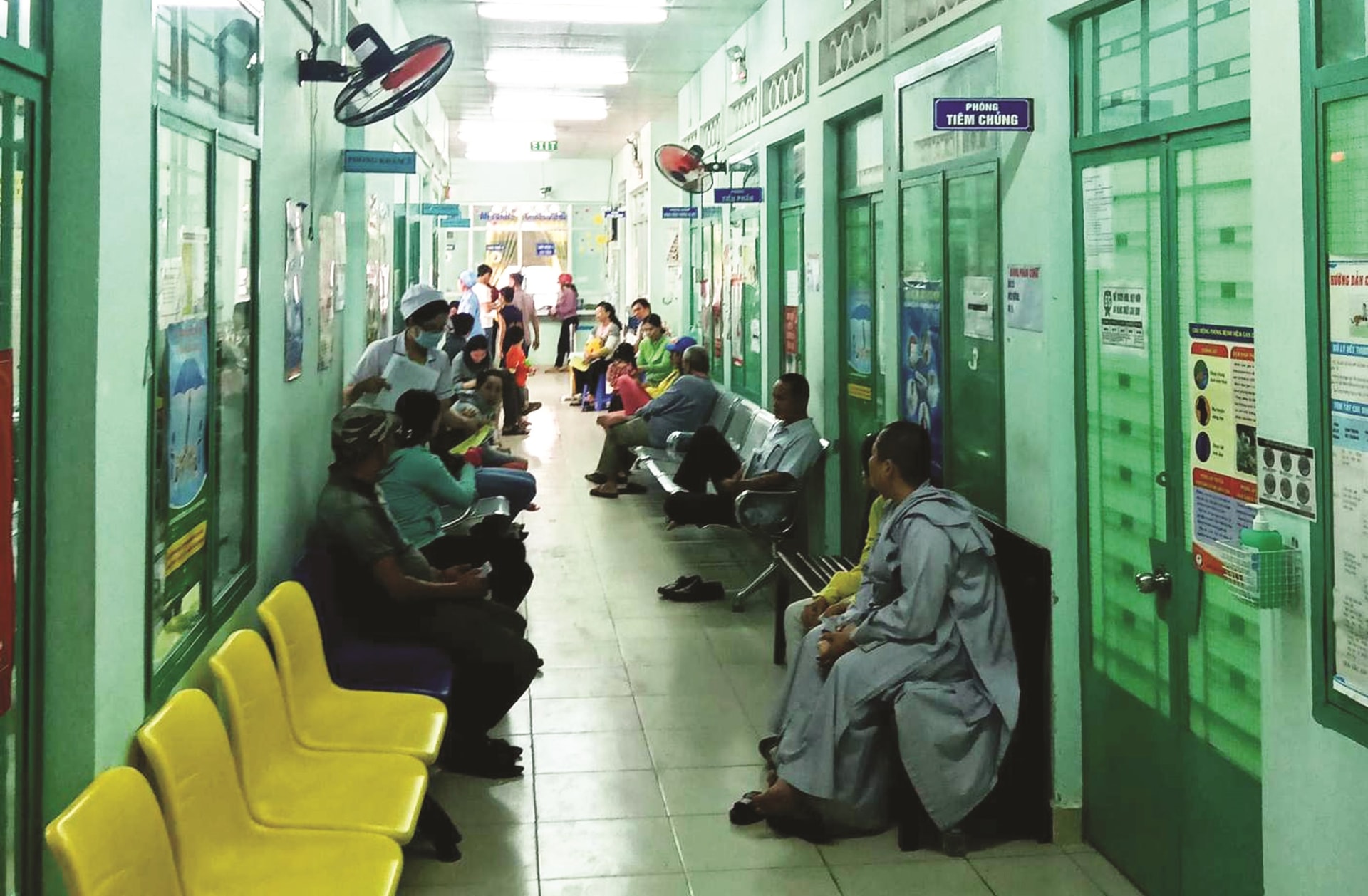 Thời điểm cuối năm, số bệnh nhân đến Bệnh viện Nhiệt đới Khánh Hòa xét nghiệm bệnh giun sán chó, mèo gia tăng mạnh