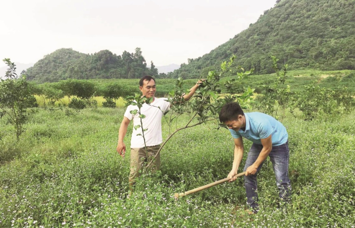 Vùng đồng bào DTTS và miền núi ngày càng xuất hiện nhiều những tấm gương vươn lên thoát nghèo. (Ảnh minh họa)