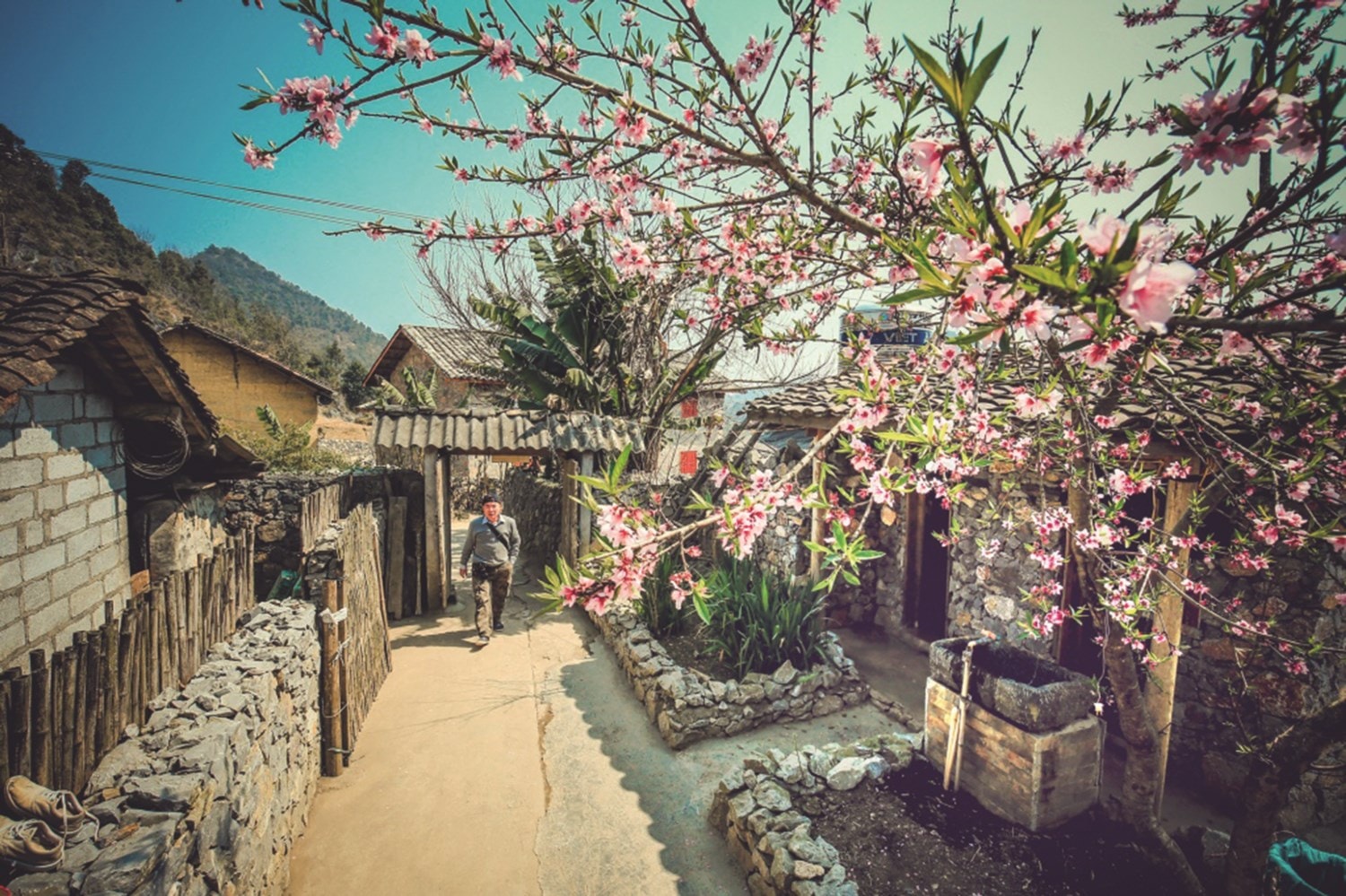 Quán cà phê - điểm nhấn ở Lô Lô Chải thu hút du khách khi đến thăm quan du lịch