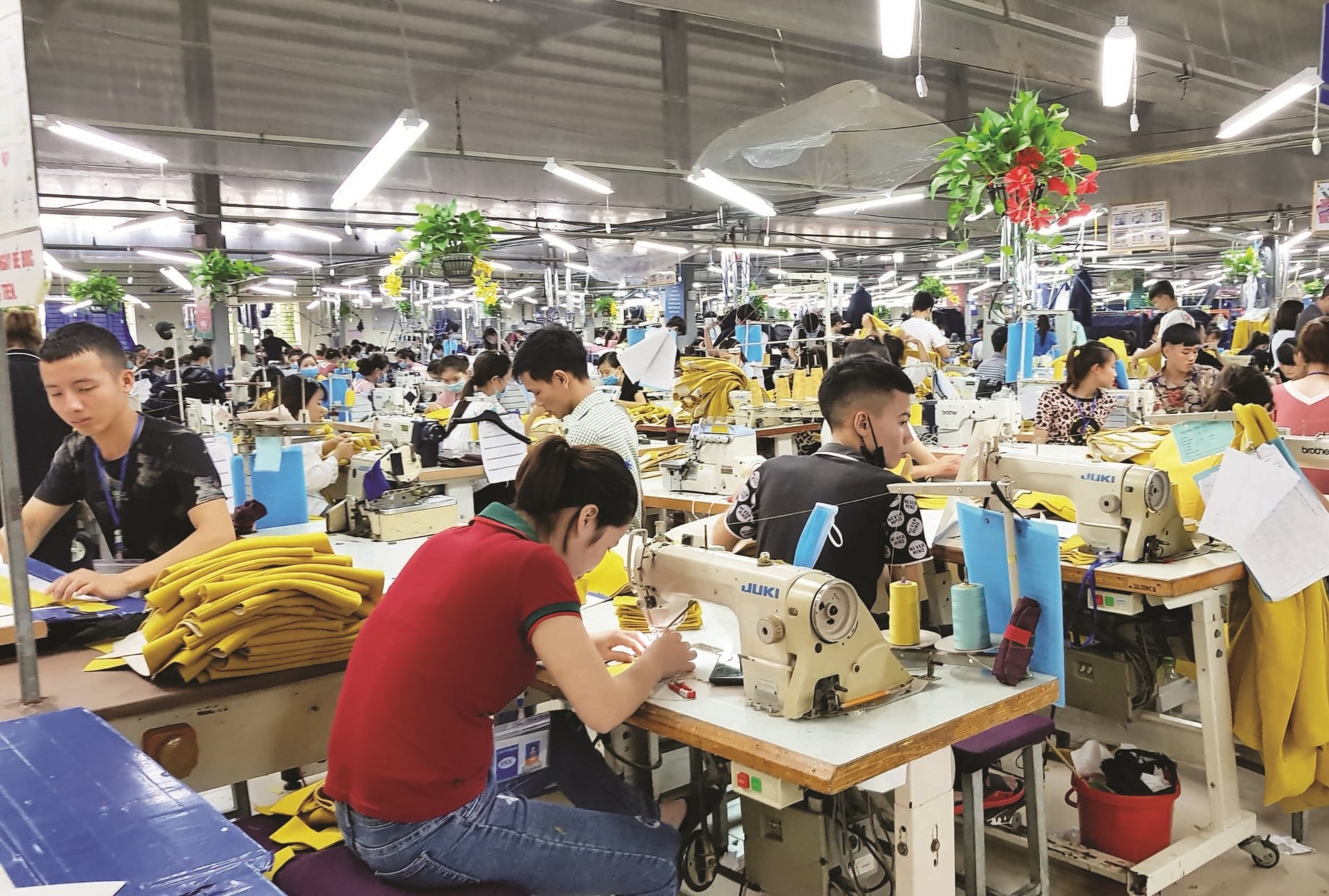 Đào tạo nghề cần phải gắn với giải quyết việc làm thì mới phát huy được hiệu quả.