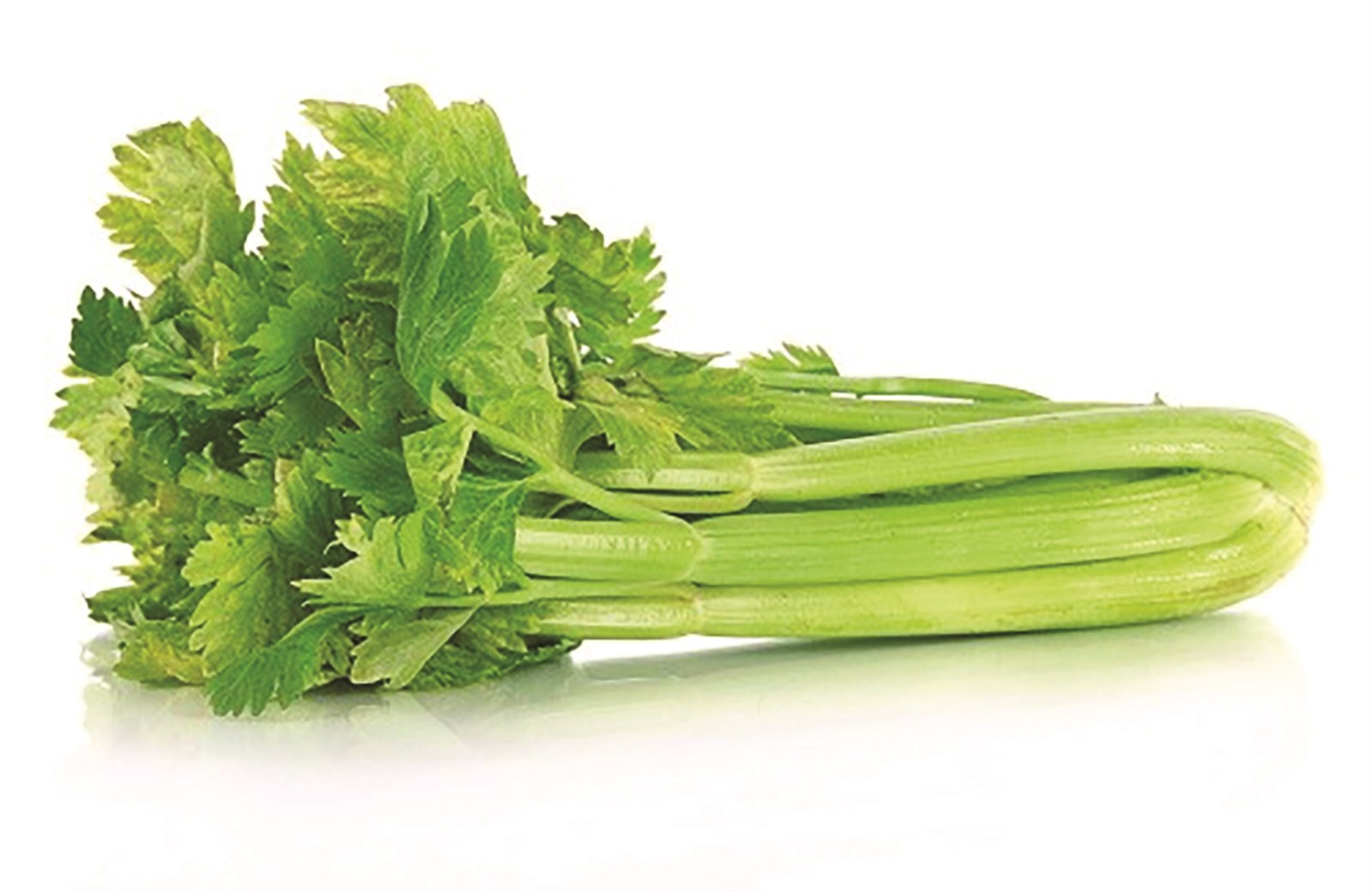 Công dụng từ cây rau cần tây