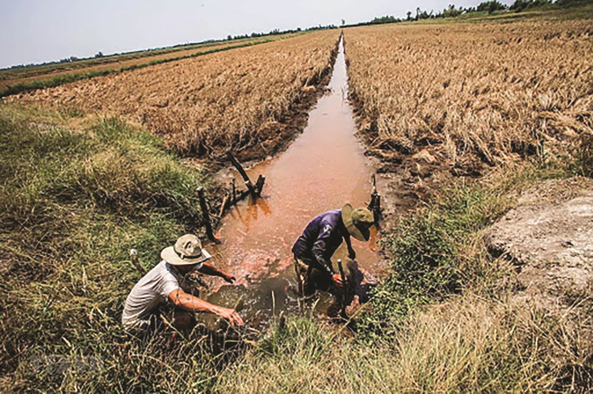 ĐBSCL thường xuyên đối diện với hạn mặn