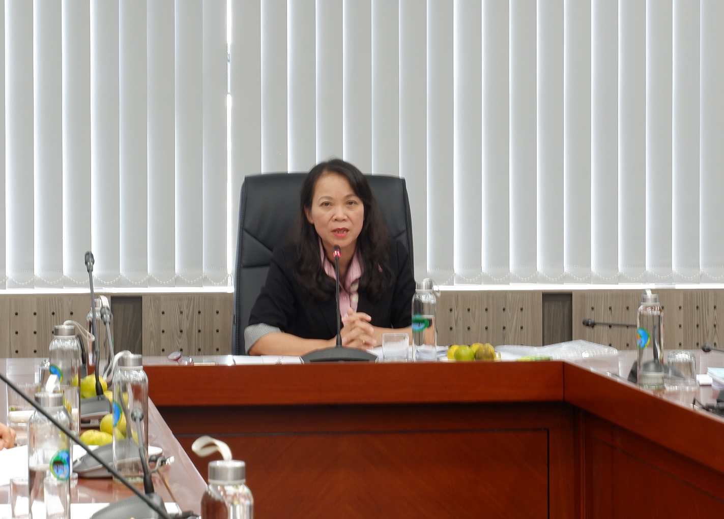 Thứ trưởng, Phó Chủ nhiệm UBDT Hoàng Thị Hạnh, Chủ tịch Hội đồng chủ trì buổi nghiệm thu