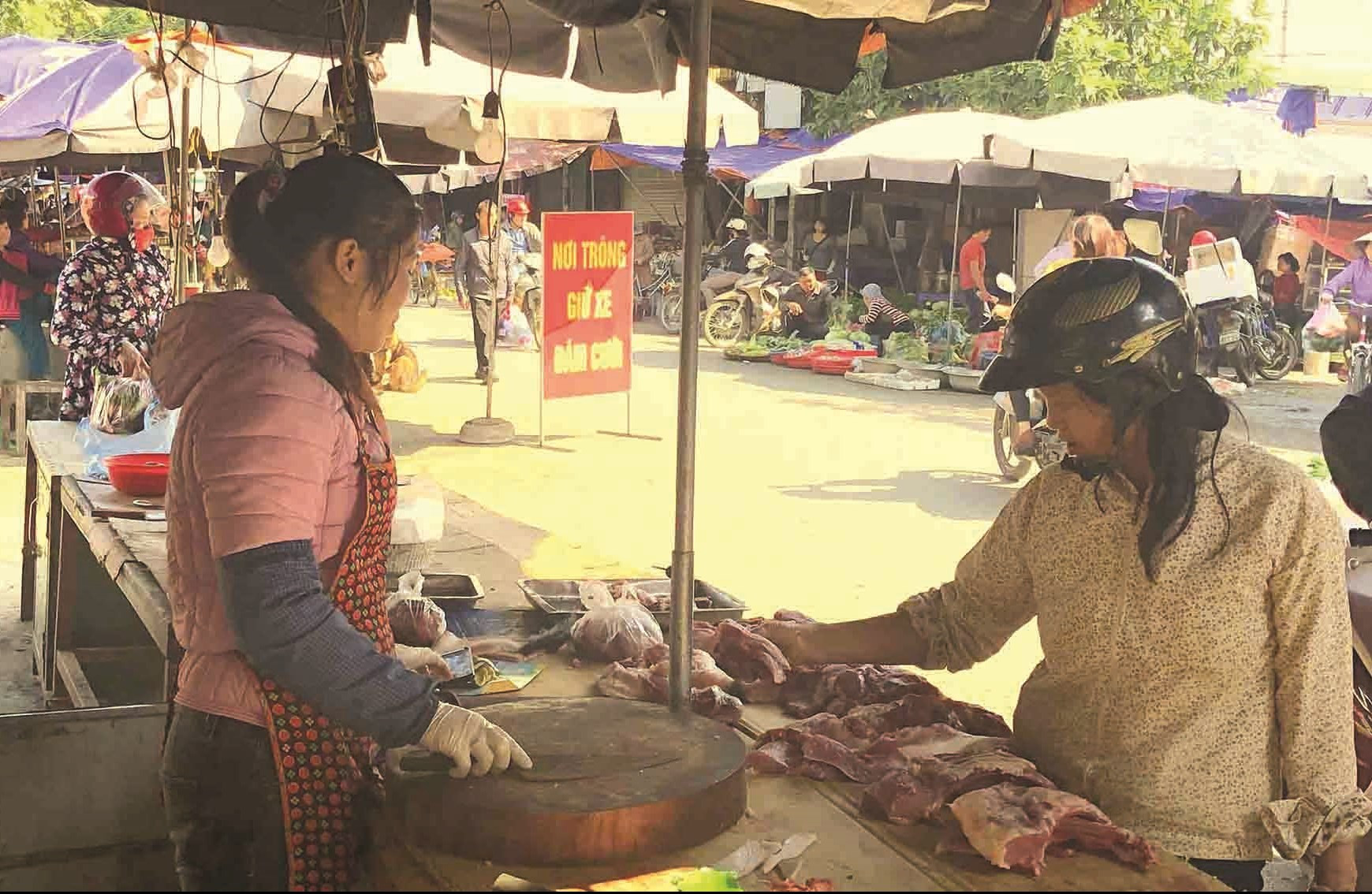Giá thịt lợn hơi tăng mạnh đang tạo sức ép lên đời sống của đại bộ phận người dân