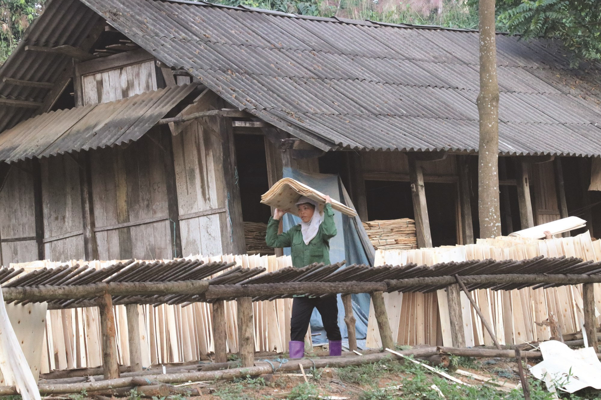 Ở Yên Bái, nhiều lao động chuyển sang sản xuất gỗ ép chuyên nghiệp cho thu nhập khá.