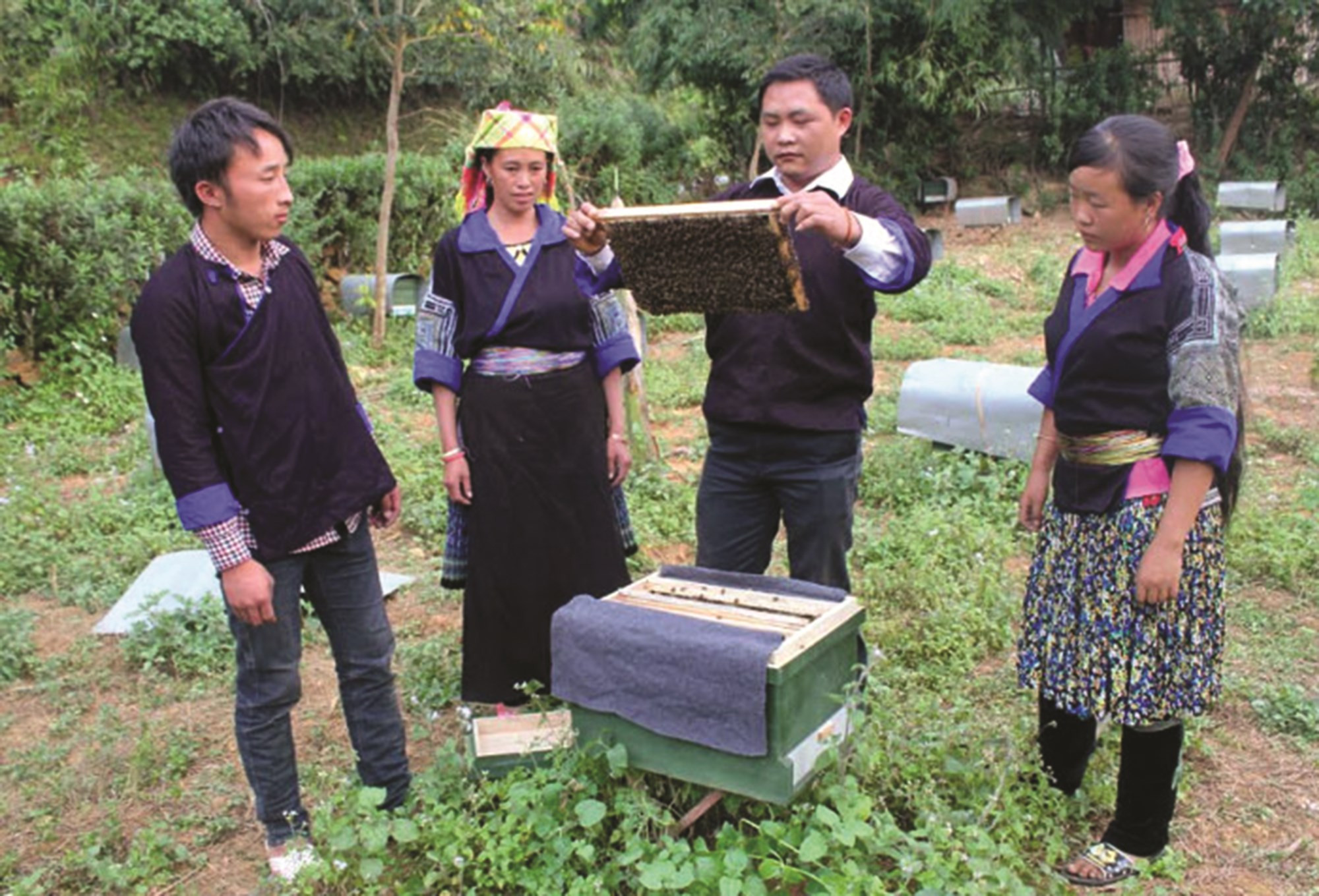 Những năm qua huyện Mù Cang Chải luôn chú trọng đào tạo nghề cho LĐNT