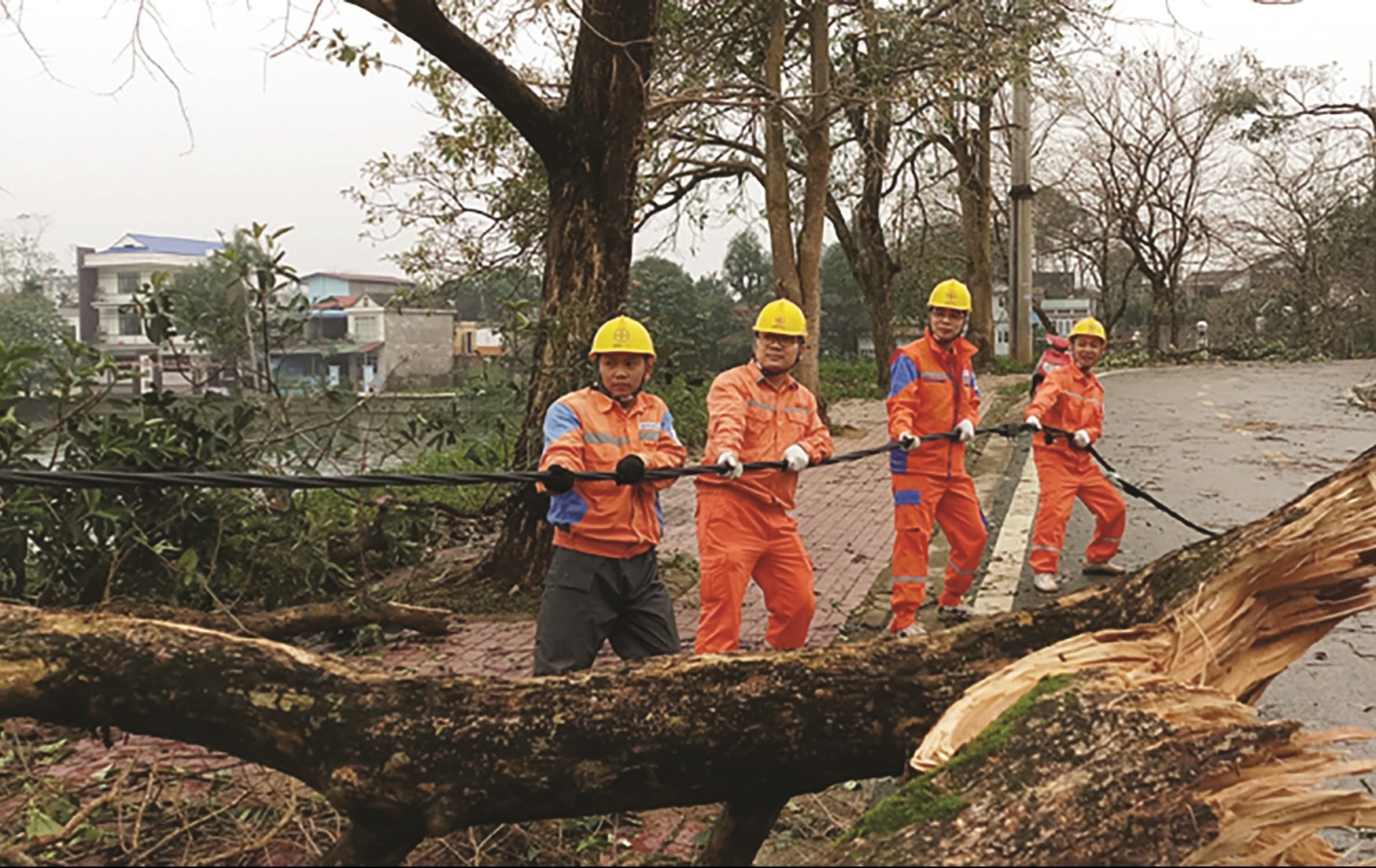 Công ty Điện lực Thái Bình tích cực sửa chữa điện, khắc phục sự cố sau thiên tai.