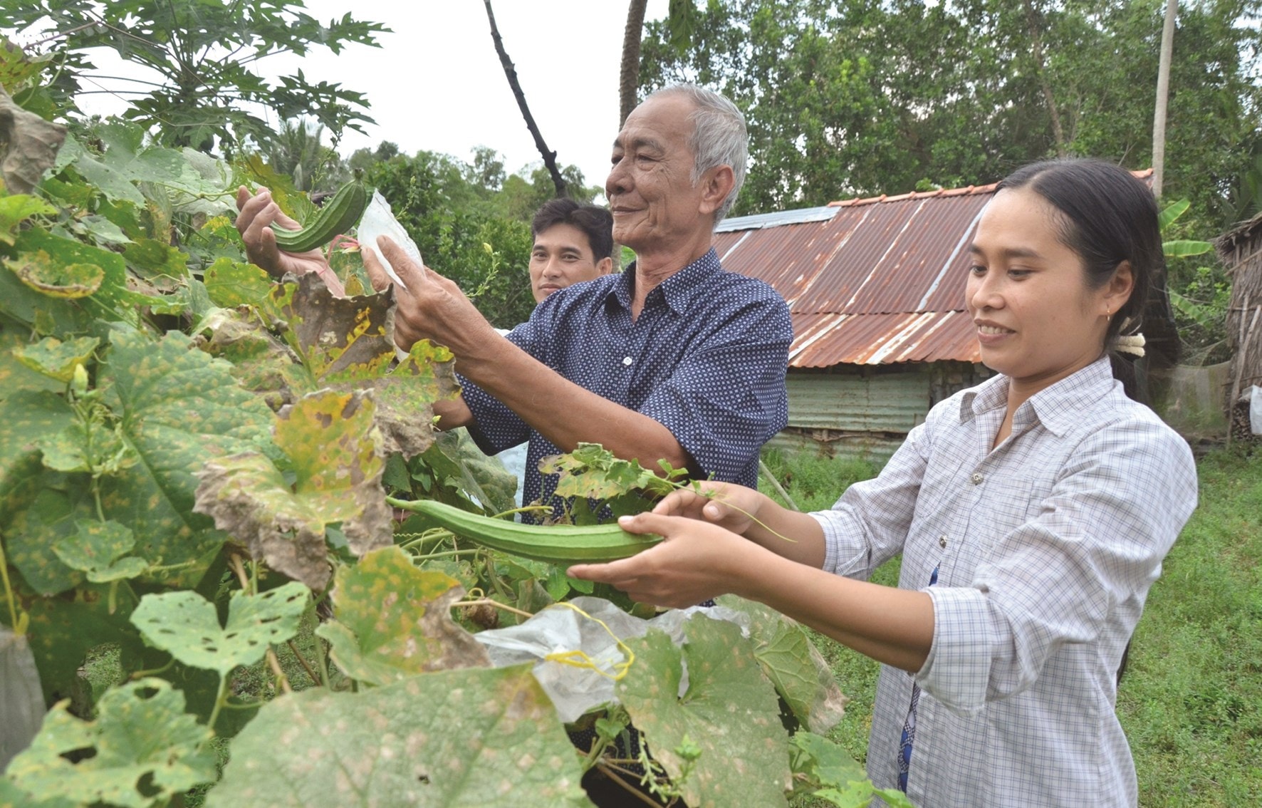 Cải thiện dinh dưỡng cho đồng bào dân tộc Khmer 