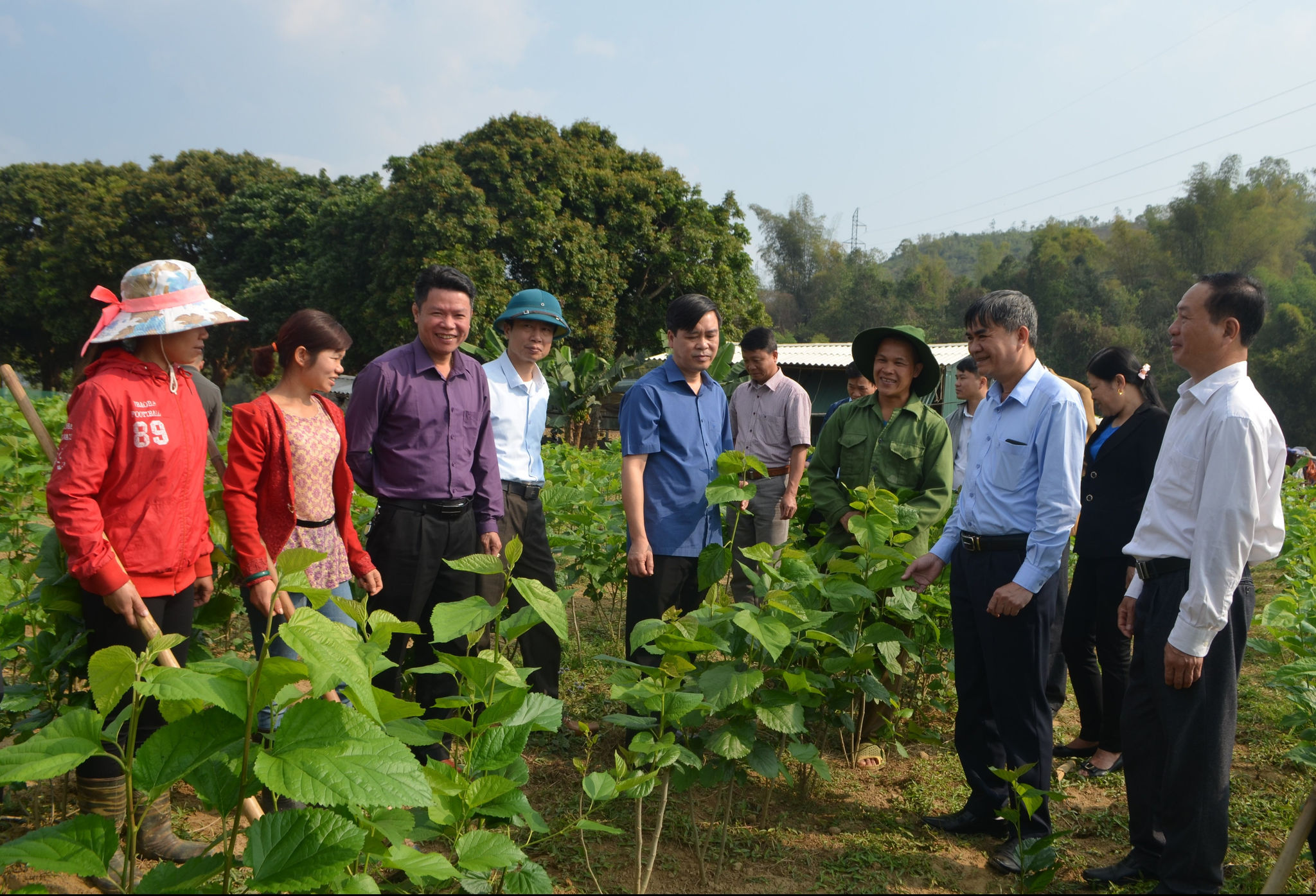 Ông Chu Đình Ngữ, Bí thư Huyện ủy (thứ 3 từ bên trái) và ông Mai Trọng Tuân, Phó Bí thư, Chủ tịch UBND huyện Văn Chấn (thứ 5 từ bên phải) cùng cán bộ huyện thăm quan mô hình trồng dâu  tại thị trấn nông trường Liên Sơn