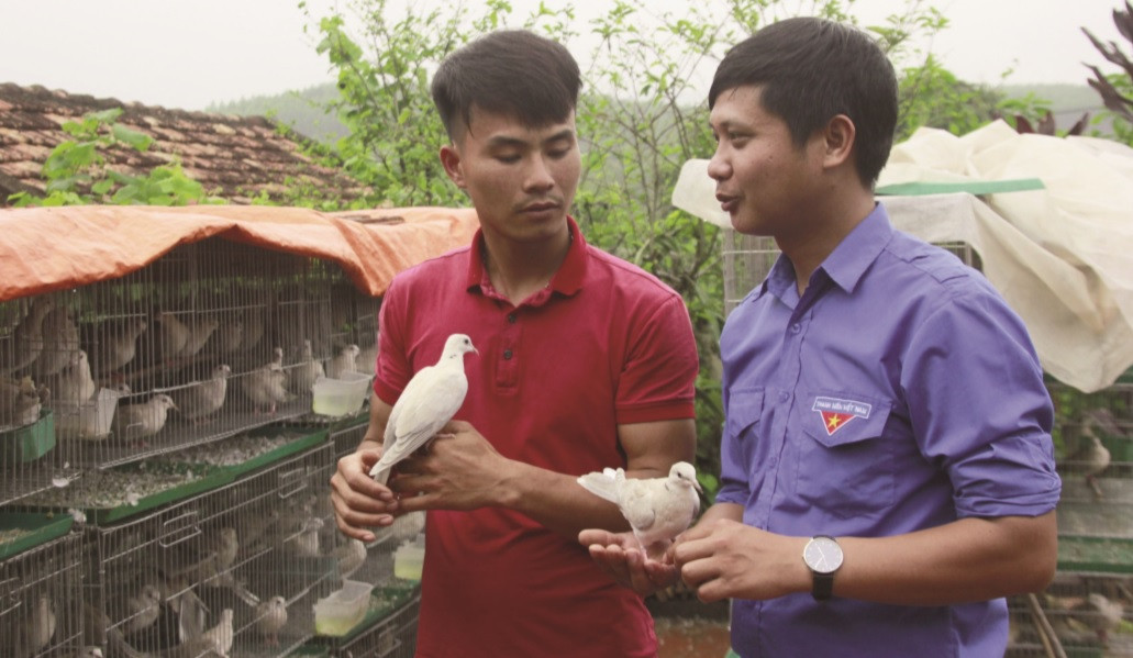  Mô hình nuôi chim  của anh Quân (bên trái)  được nhiều người quan tâm.