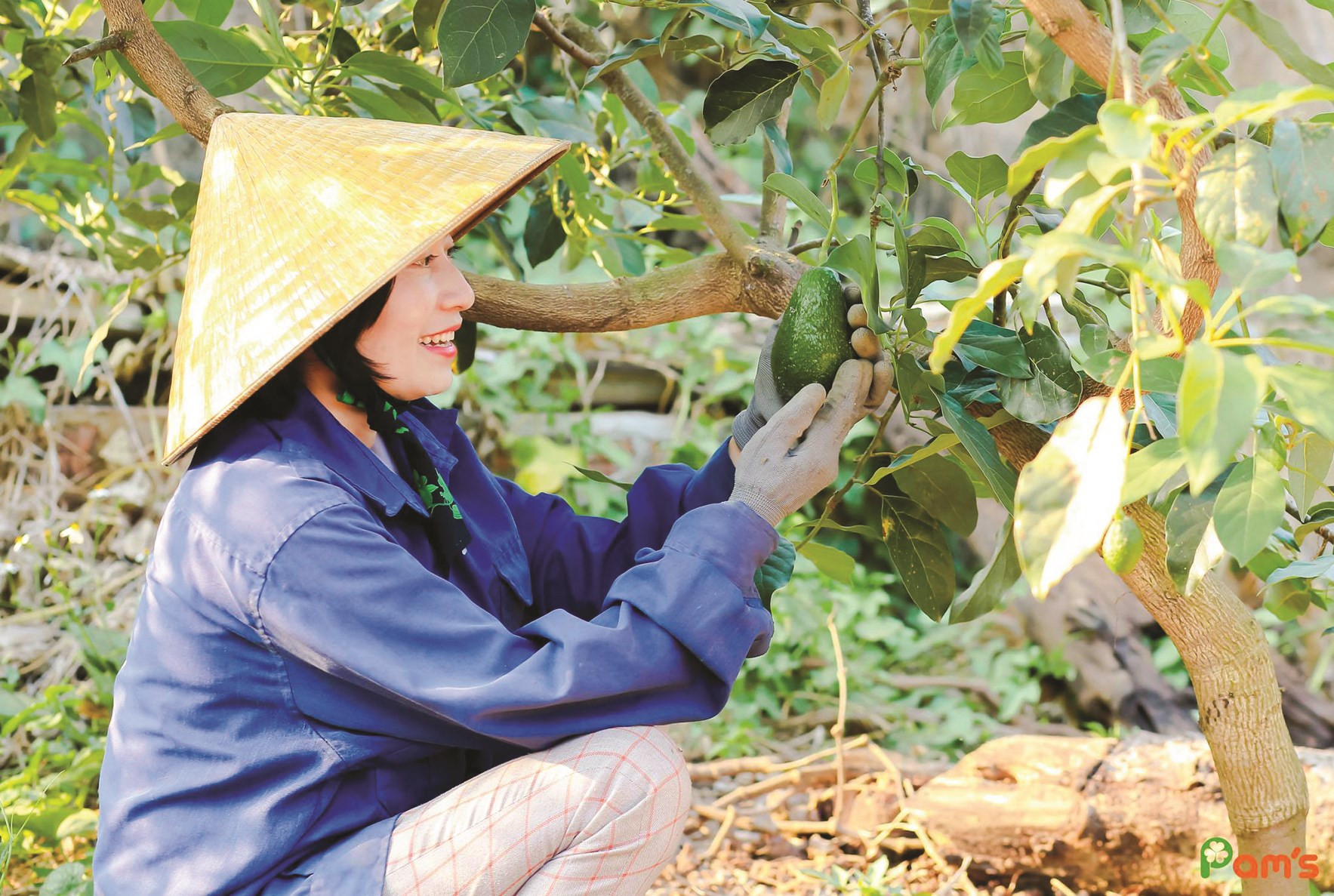 Chị Phạm Thị Thu Hằng mạnh dạn chuyển hướng khởi nghiệp  với thương hiệu mỹ phẩm Pam’s. 