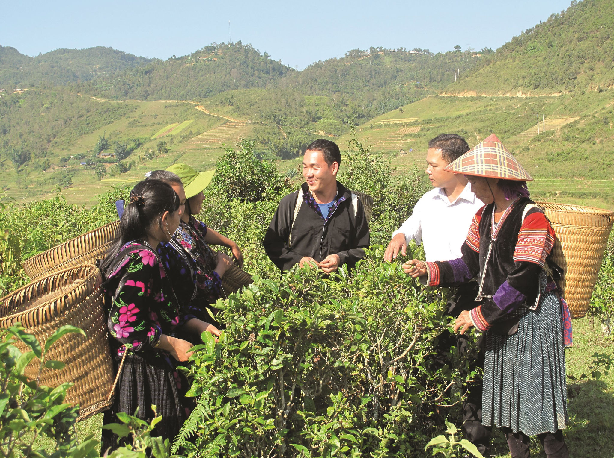 Thực hiện hiệu quả Chương trình mục tiêu quốc gia giảm nghèo bền vững, tỷ lệ hộ nghèo, cận nghèo của tỉnh Điện Biên năm 2019 giảm trên 3%.
