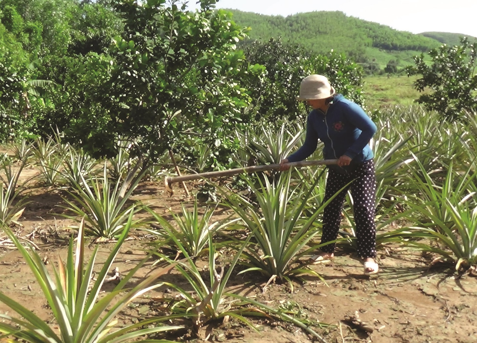 Học nghề giúp đồng bào DTTS tự tin chuyển đổi mô hình sản xuất phù hợp mang lại hiệu quả cao.