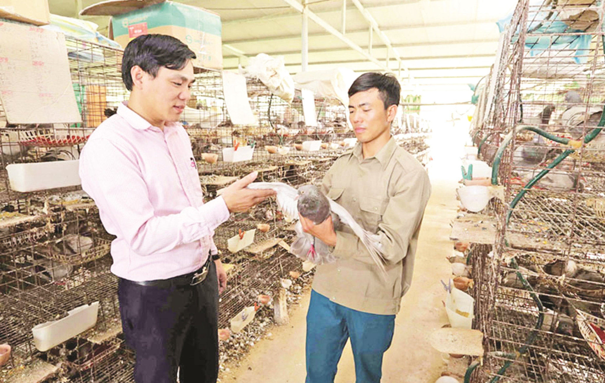 Nhờ nguồn vốn tín dụng chính sách xã hội, người nghèo có cơ hội thoát nghèo bền vững, vươn lên làm giàu
