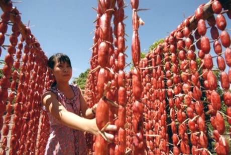 Tung lò mò - đang được phơi nắng