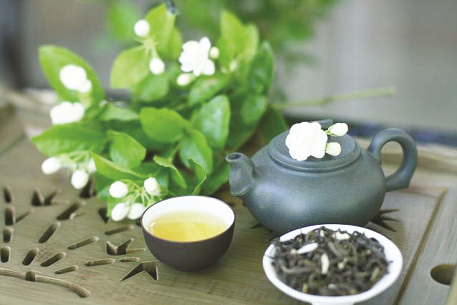 Chữa bệnh bằng hoa nhài