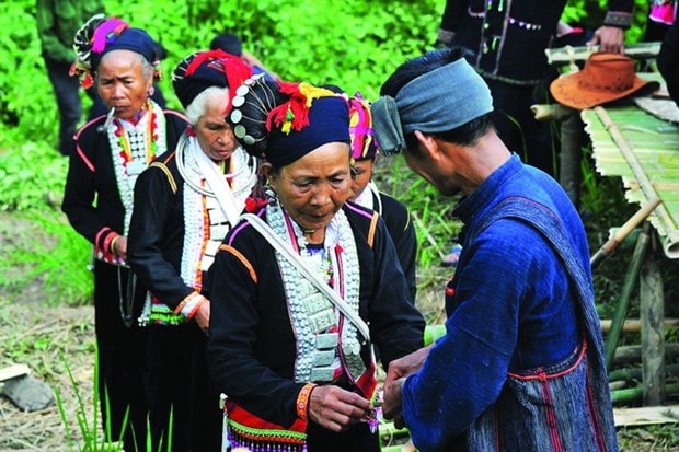 Dân bản nộp cây giống cho thầy cúng. Ảnh: Phan Tuấn Anh - DTMN