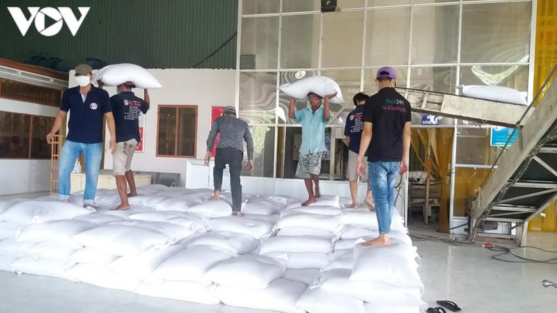 Giá lúa gạo tăng hoạt động kinh doanh mặt hàng này sôi nổi 