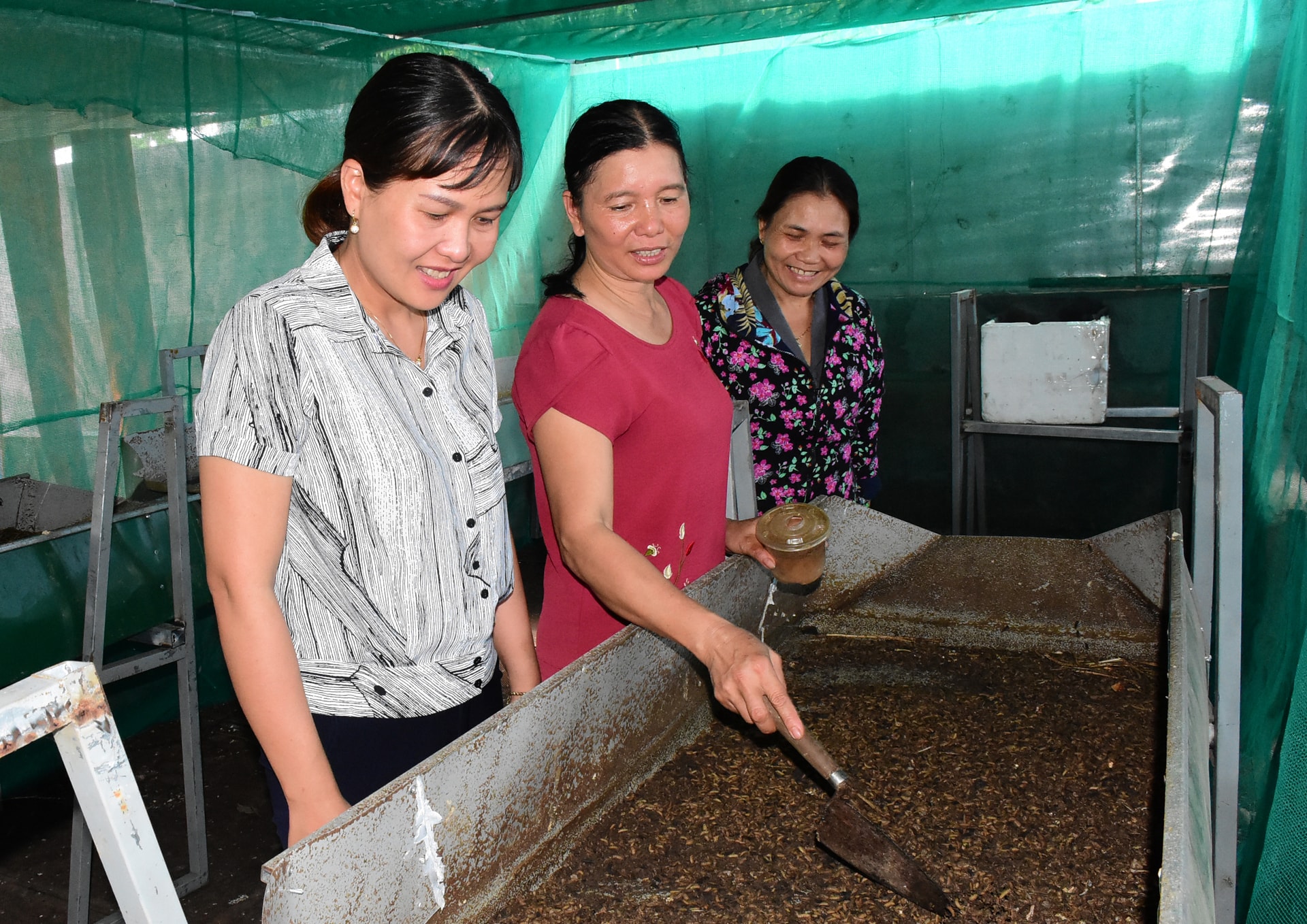 1 lạng trứng nở ra khoảng 100kg ấu trùng. Ảnh: HT  