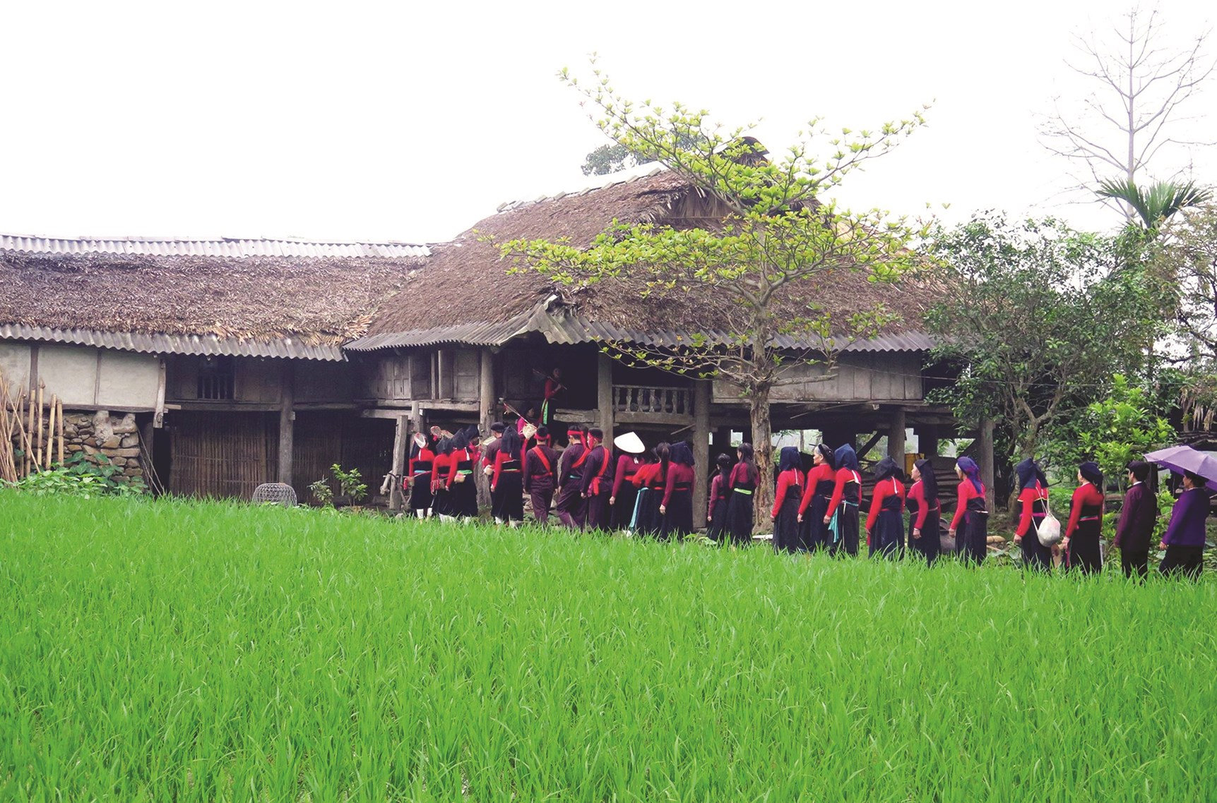 Người Cao Lan giữ nếp nhà truyền thống 