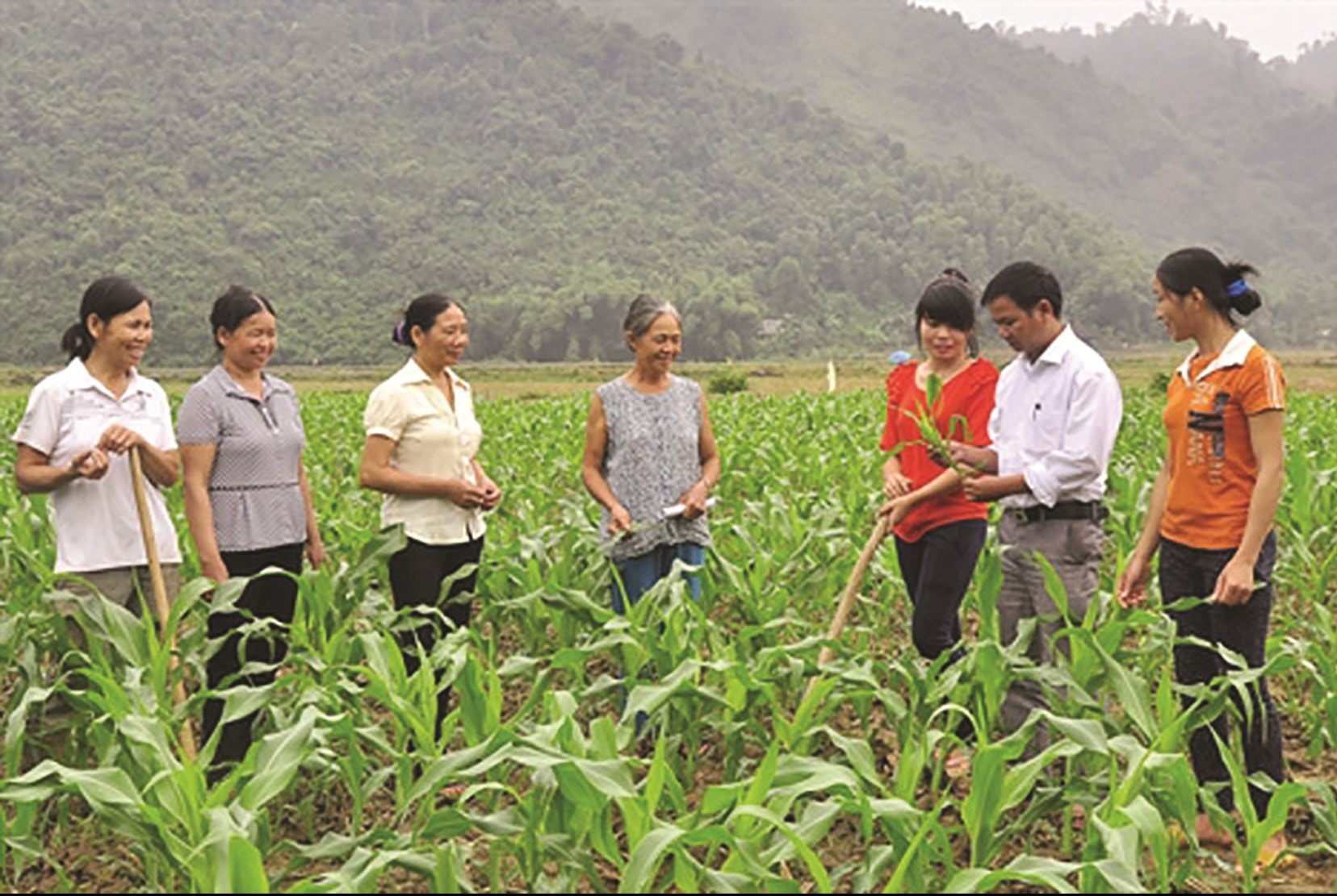 Nâng cao thu nhập từ nông nghiệp là lời giải giúp xã 135 Côn Lôn “về đích” NTM