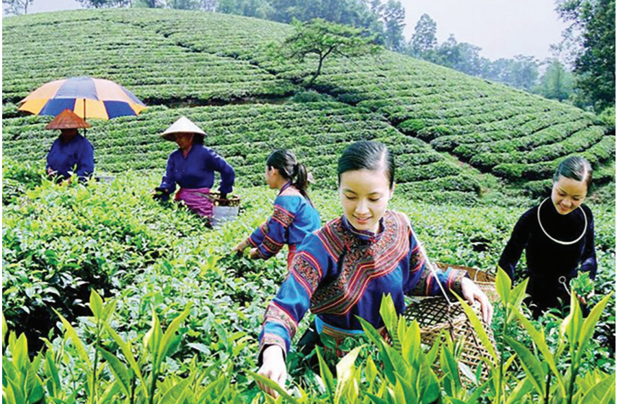 Vùng DTTS và miền núi đang đứng trước cơ hội lịch sử khi Chương trình mục tiêu quốc gia phát triển KT-XH vùng DTTS và miền núi giai đoạn 2021-2030 đã được phê duyệt