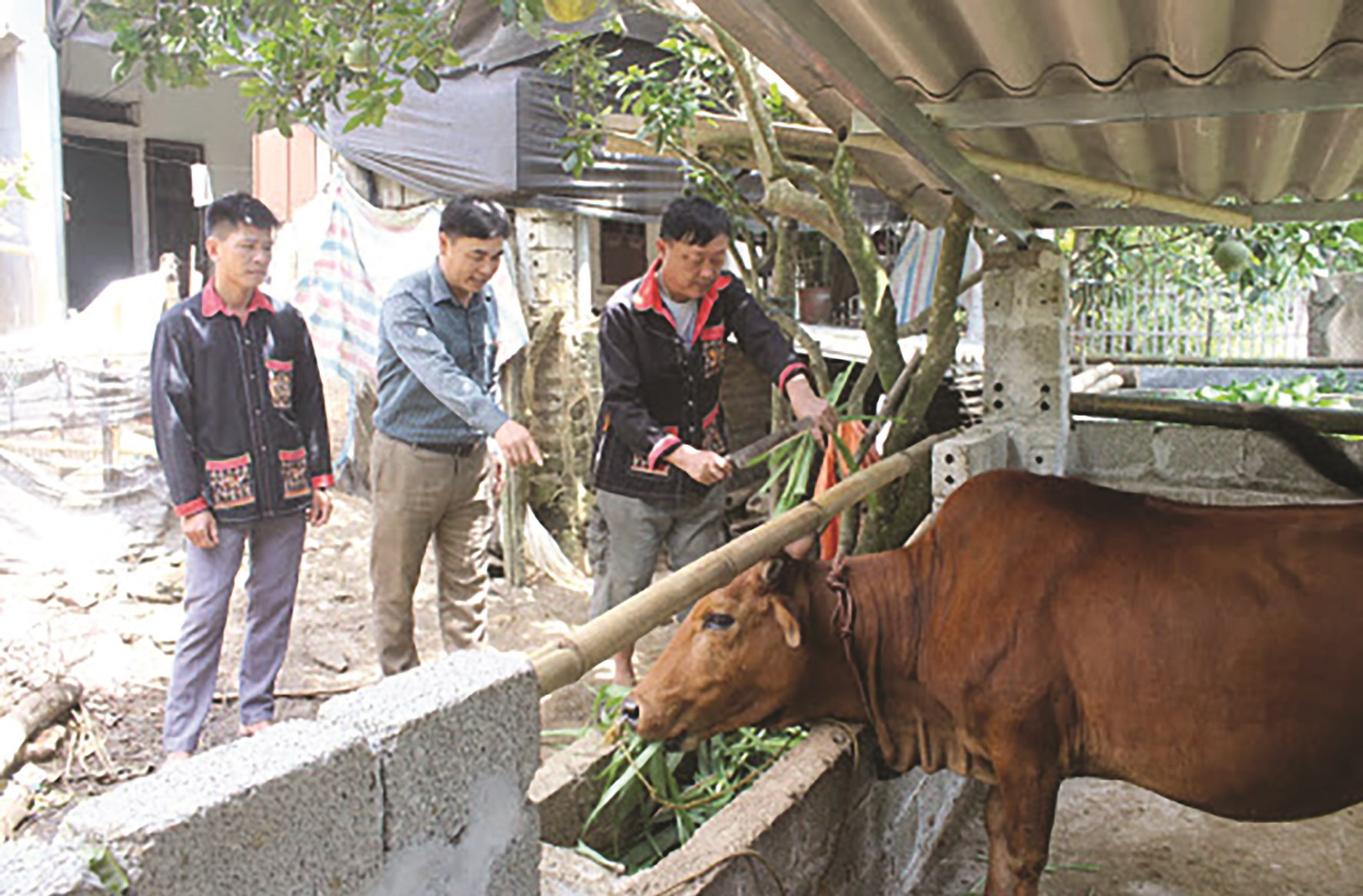 Hỗ trợ tạo sinh kế là giải pháp giảm nghèo bền vững. (Ảnh minh họa)