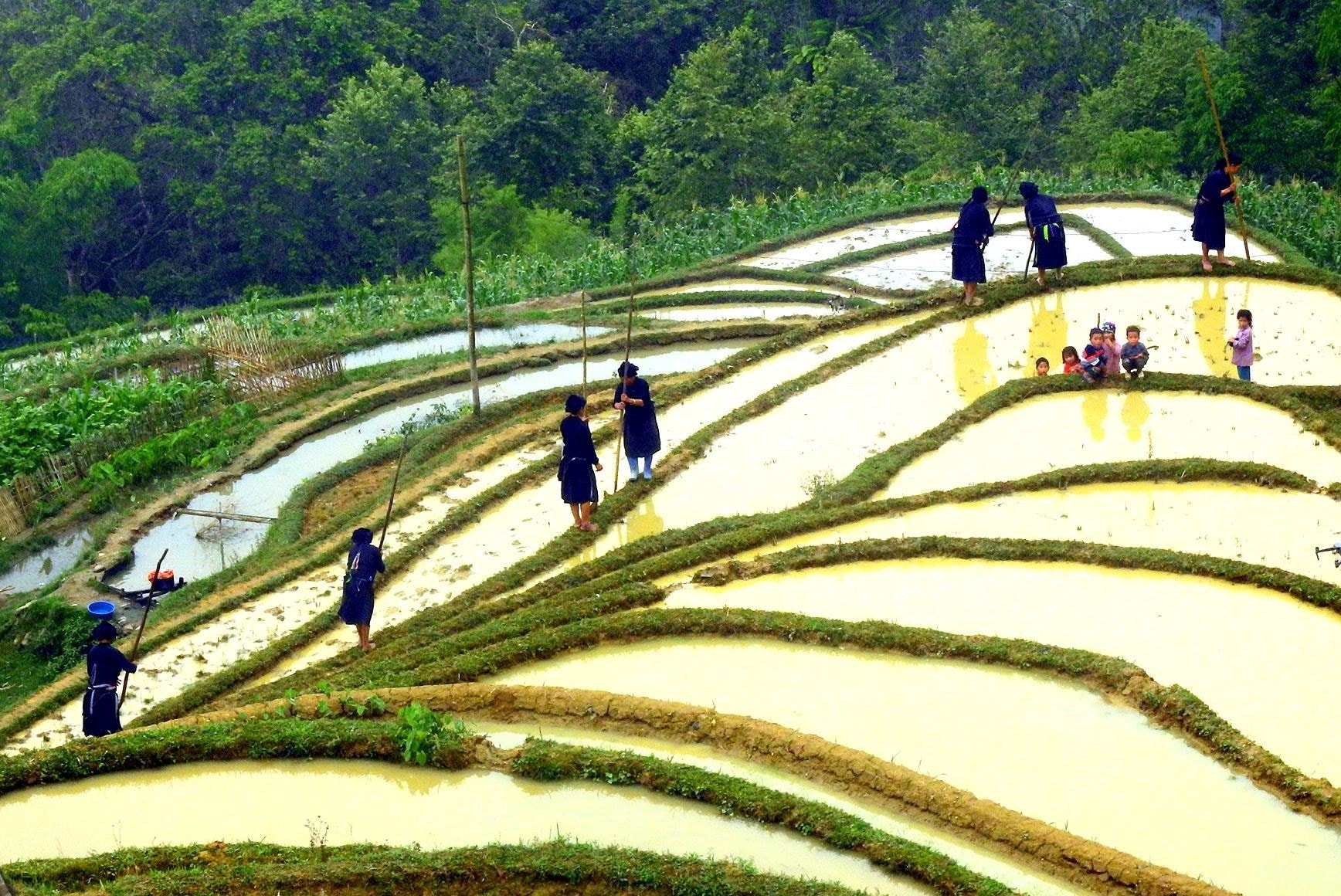 Tác phẩm: Mùa nước đổ , dân tộc La Chí - Bản Phùng (Hoàng Su Phì, Hà Giang). Tác phẩm ghi lại được thời điểm quan trọng nhất trong năm của người dân canh tác ruộng bậc thang.