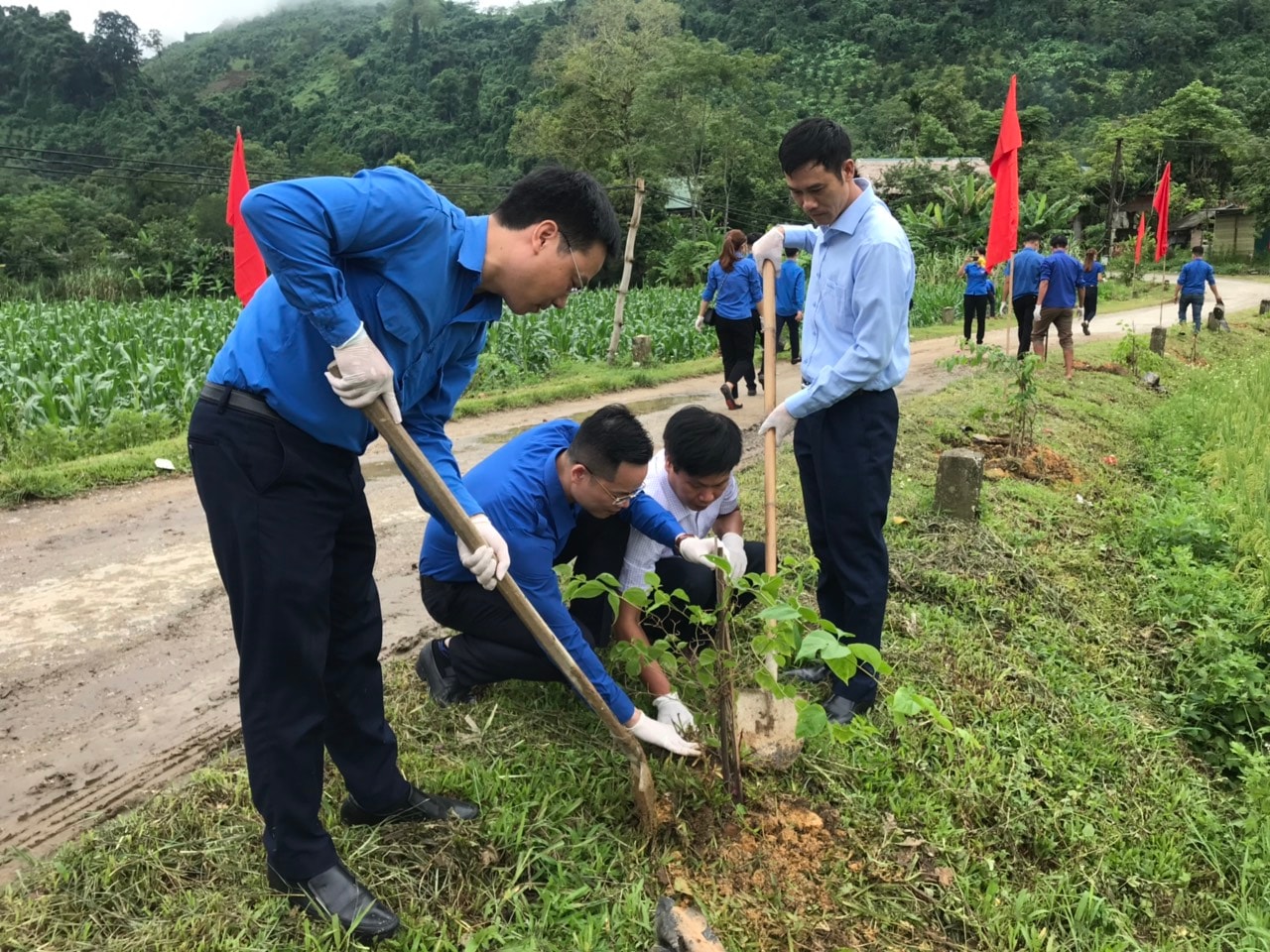 Đoàn viên, thanh niên tham gia trồng cây tại xã Trung Hà (Chiêm Hoá, Tuyên Quang)
