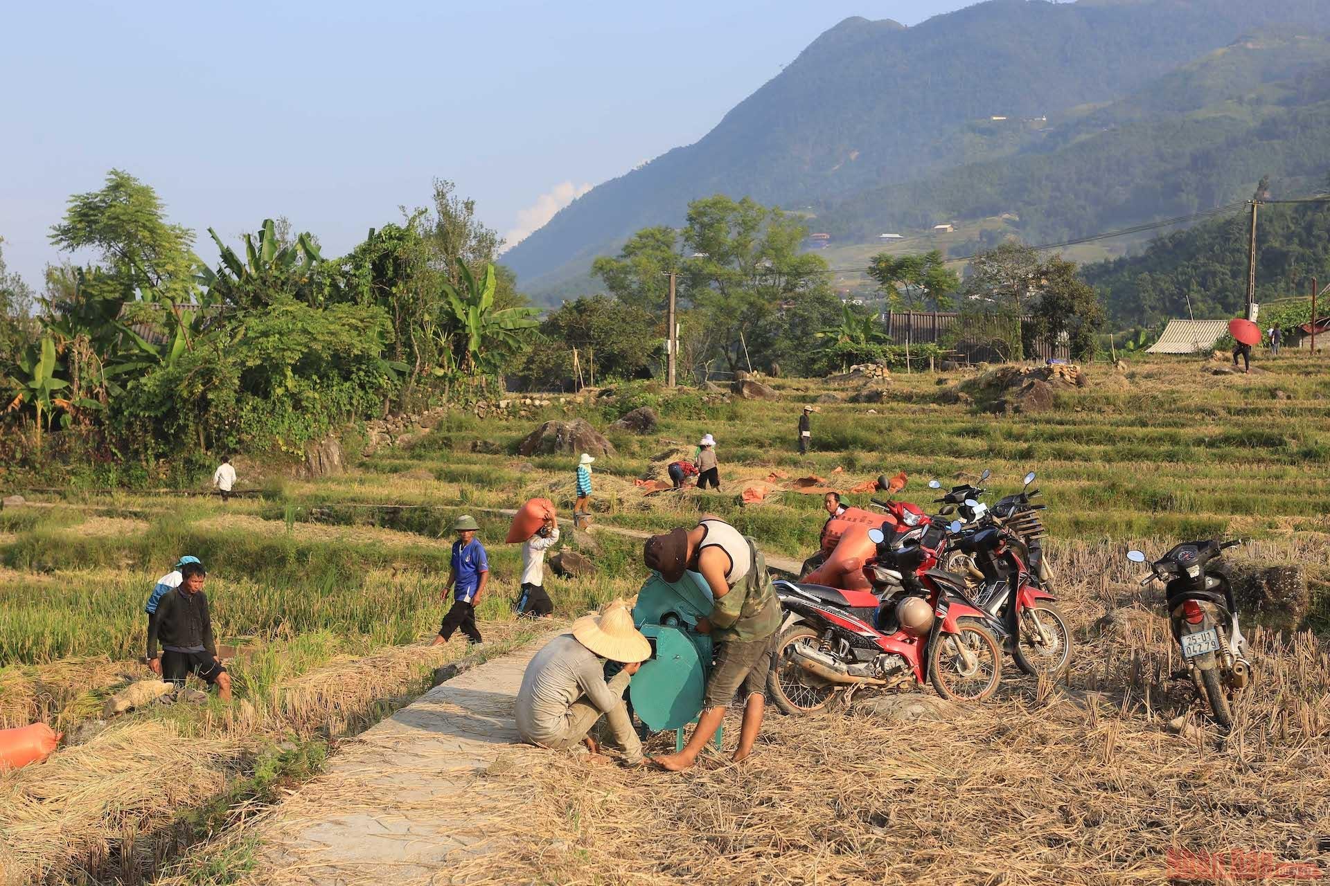 Không khí lao động hăng say, nhộn nhịp.