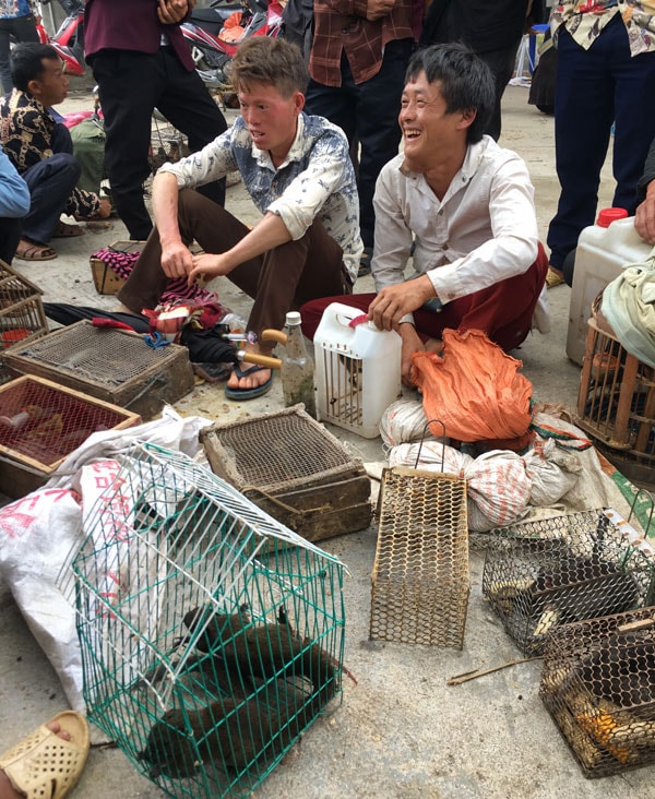 Sóc và dúi rừng nhốt trong lồng bẫy mang bán.