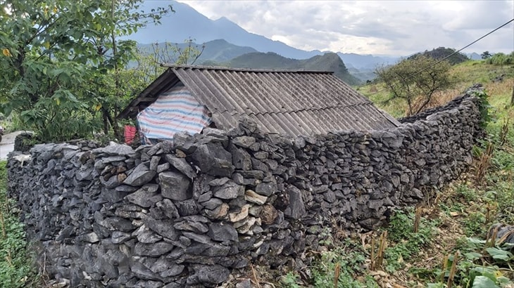 Bờ rào đá còn có thể được ví cho sự chu đáo của người đàn ông trong gia đình người Mông, bờ rào càng to, càng đẹp, càng vững chắc thì càng chứng tỏ người đàn ông trong gia đình đó càng chu đáo, là trụ cột giỏi của gia đình. Ảnh: Nguyễn Chiến/TTXVN