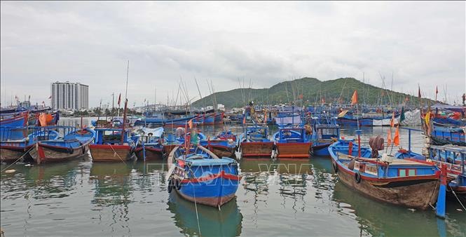 Khu neo đậu tránh trú bão tại cảng cá Hòn Rớ (xã phước Đồng, thành phố Nha Trang, Khánh Hòa) có quy mô chứa khoảng 1.500 tàu.