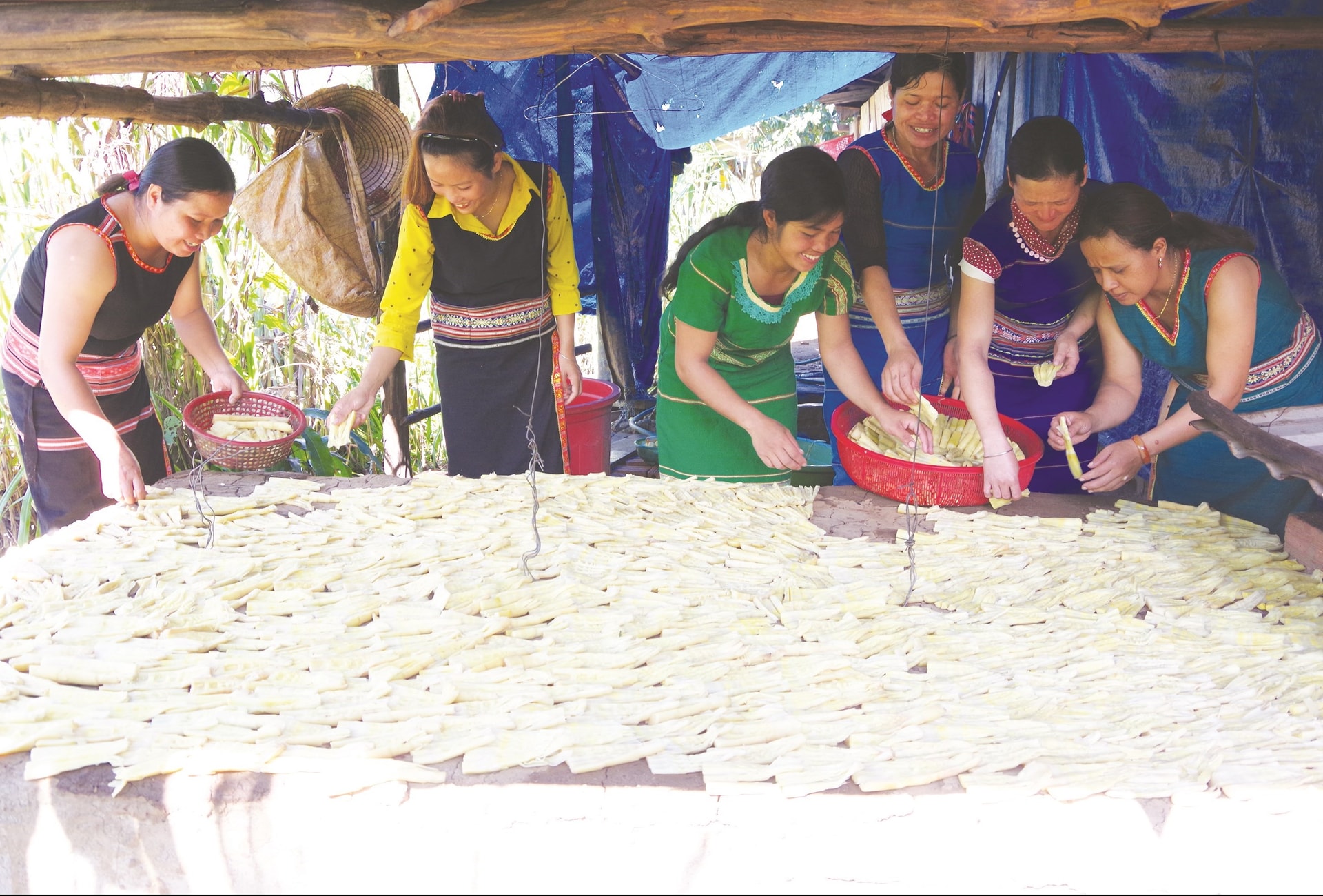 Nhờ có lò sấy măng khô, chị em hội viên đã có thêm thu nhập lo cho gia đình vào mùa mưa