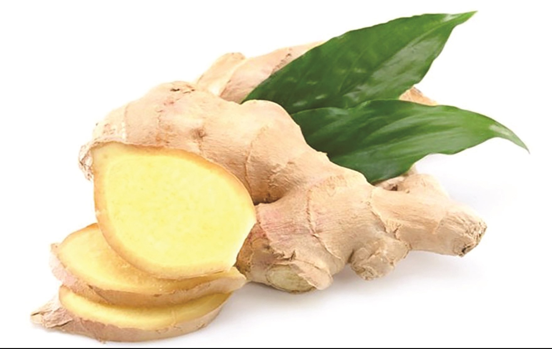 Thuốc Nam chữa bệnh trong mùa bão lũ
