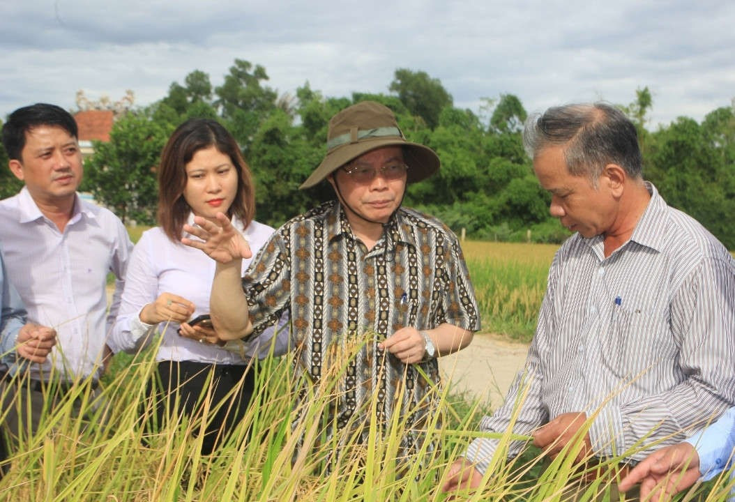 Phó Chủ tịch Quốc hội Phùng Quốc Hiển thăm cánh đồng lúa hữu cơ tại  thôn Phước Thị xã Gio Mỹ , Gio Linh (Ảnh: Vĩnh Nhiên)