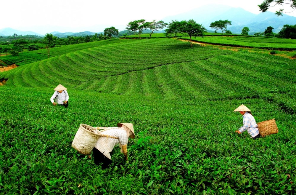 Quyết tâm thực hiện thắng lợi Nghị quyết Đại hội Đảng bộ tỉnh lần thứ XX là động lực để phát triển toàn diện kinh tế-xã hội của tỉnh Thái Nguyên