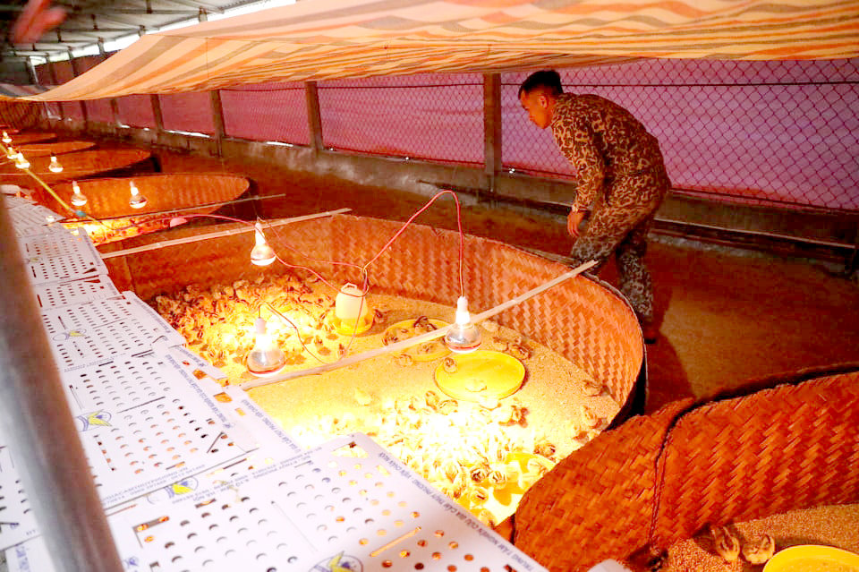Sinh kế trước mắt cho bà con vùng lũ miền Trung