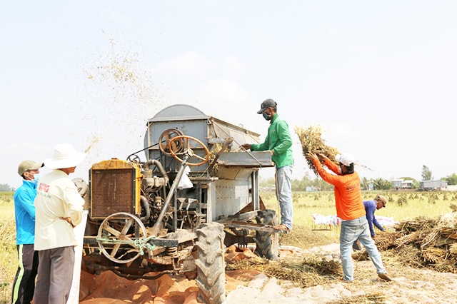 Chiếc máy tuốt hạt vừng của anh Nguyễn Thanh Hùng ngụ ấp 1, xã Thường Phước 2, huyện Hồng Ngự, tỉnh Đồng Tháp.