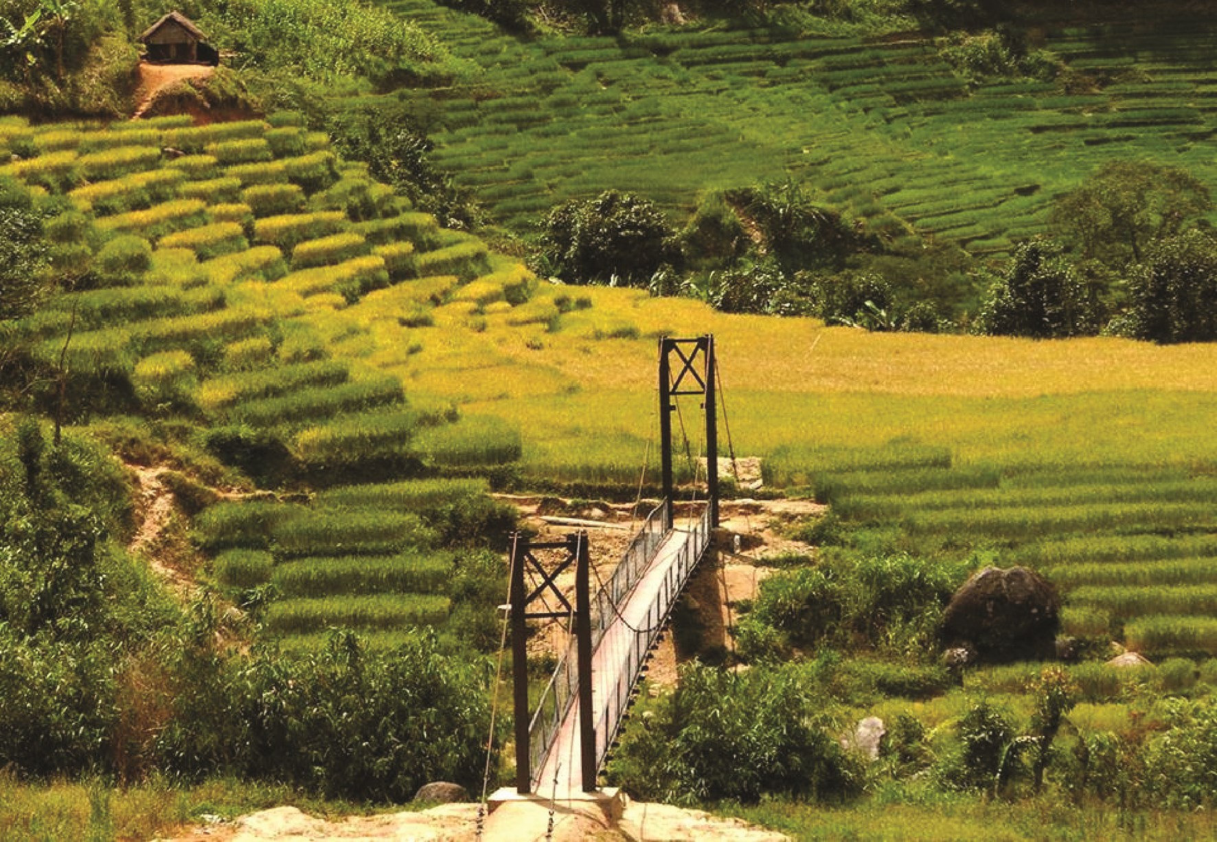 Giao thông thuận lợi đã giúp cho xã Măng Ri đã có nhiều  “thay da đổi thịt”