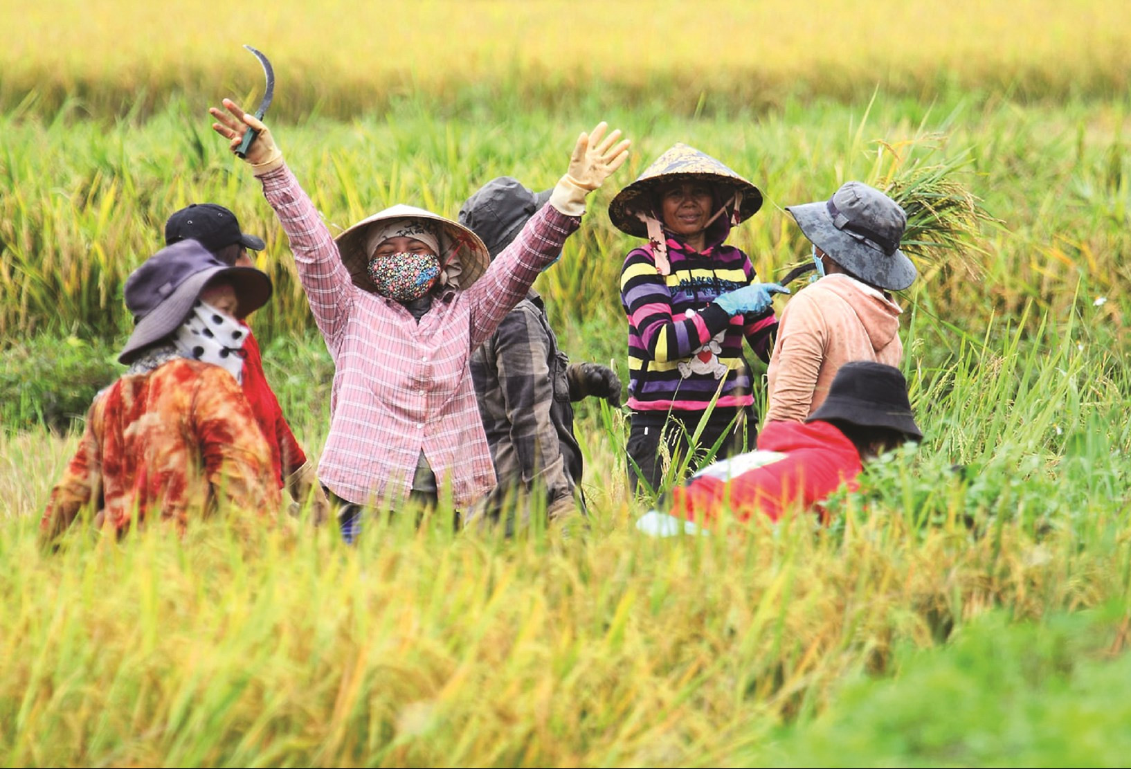 Người Xơ Đăng ấm no từ những mùa vàng ở Măng Ri