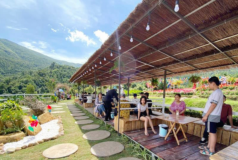 Một góc khu vườn hoa của HTX Hoa Bình Liêu